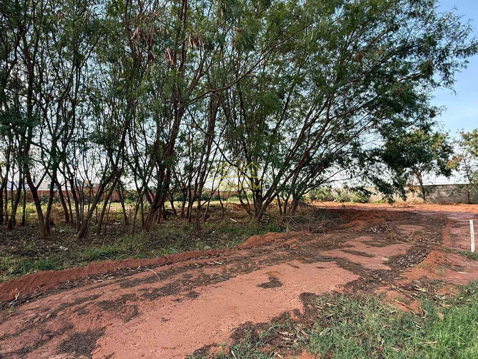 TERRENO à venda no JARDIM ALVORADA: 