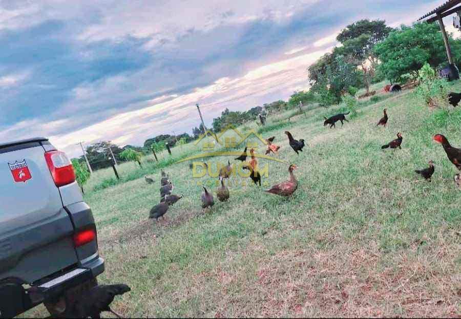 Sítio à venda no ÁREA RURAL: 