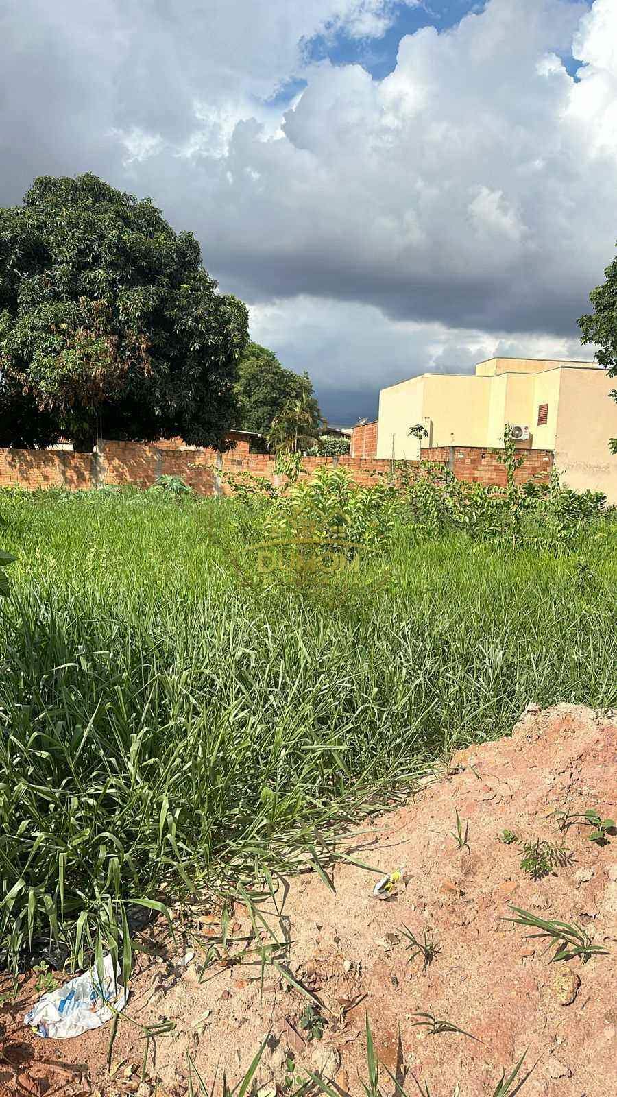 TERRENO à venda no VILA HARO: 