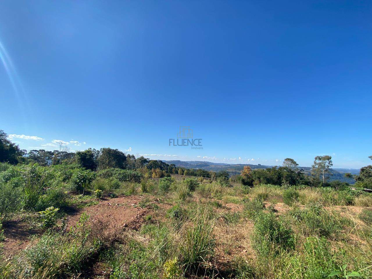 Área Rural à venda no Linha Santa Tecla: 