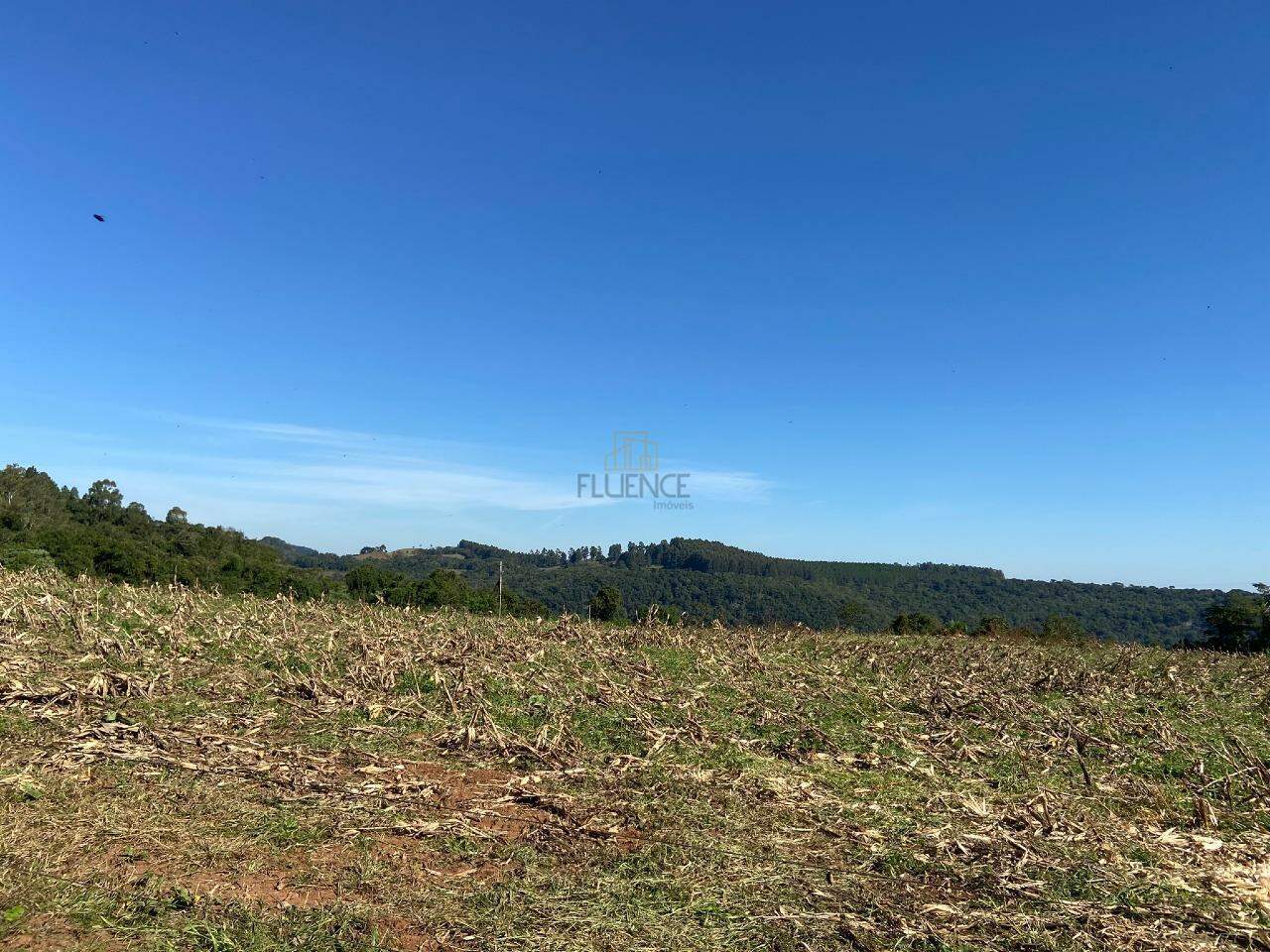 Área Rural à venda no Linha Santa Tecla: 