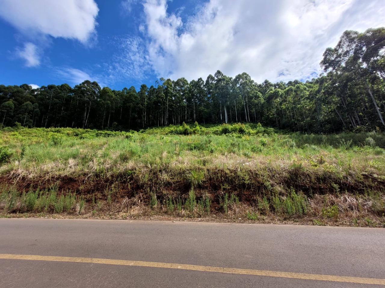 Terreno à venda no Interior: 