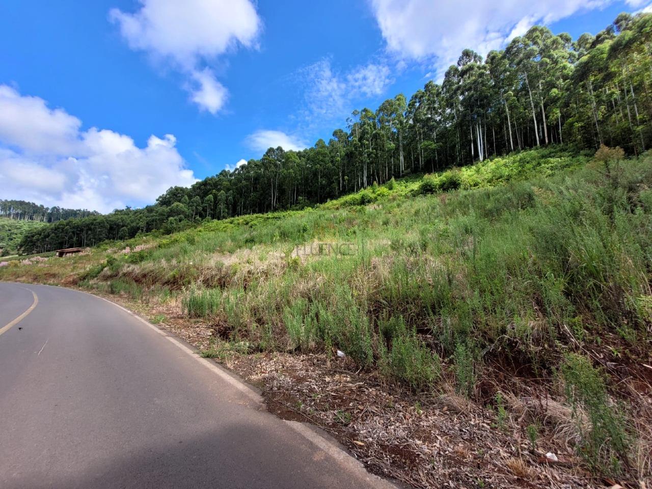 Terreno à venda no Interior: 