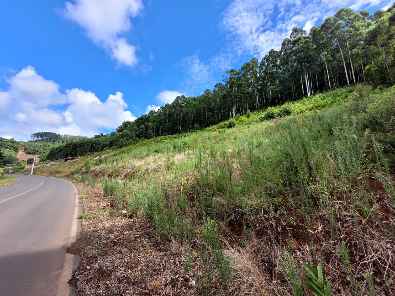 Terreno à venda no Interior: 
