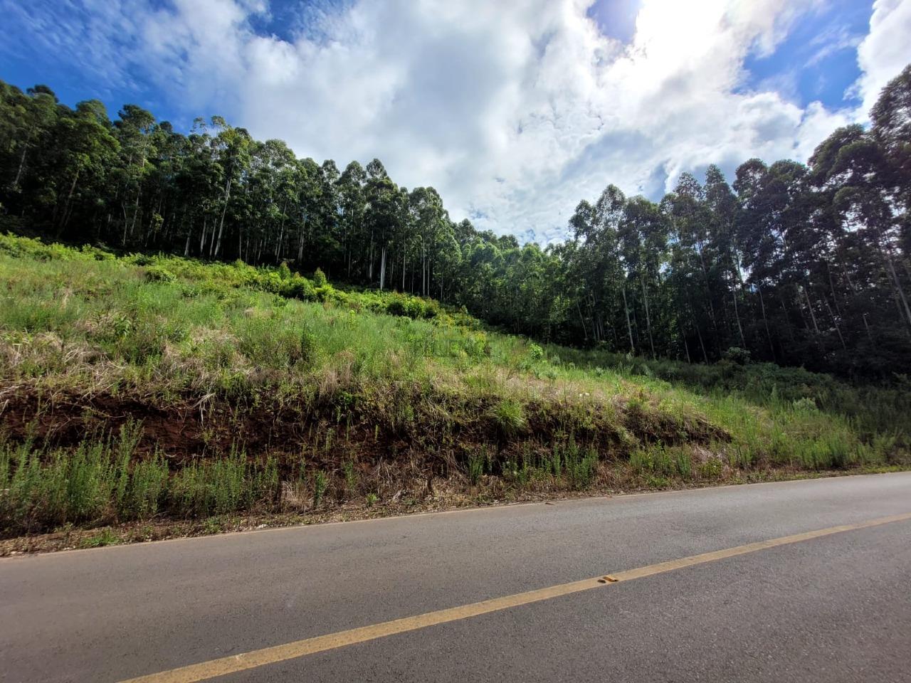 Terreno à venda no Interior: 