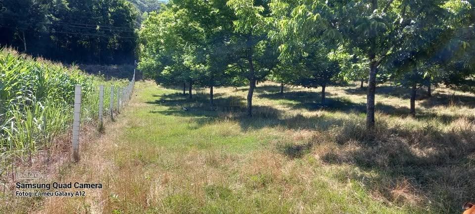 Sítio à venda no Parobé Baixo: 