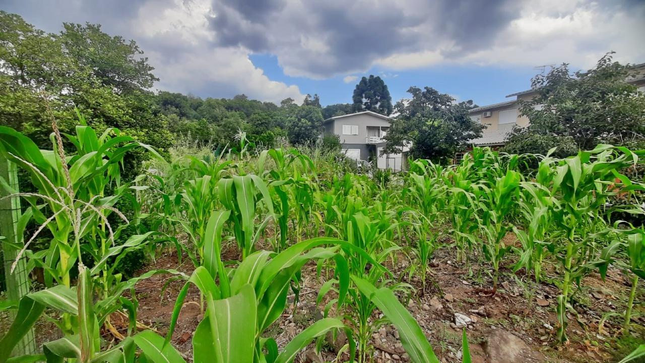 Terreno à venda no Guarani: 