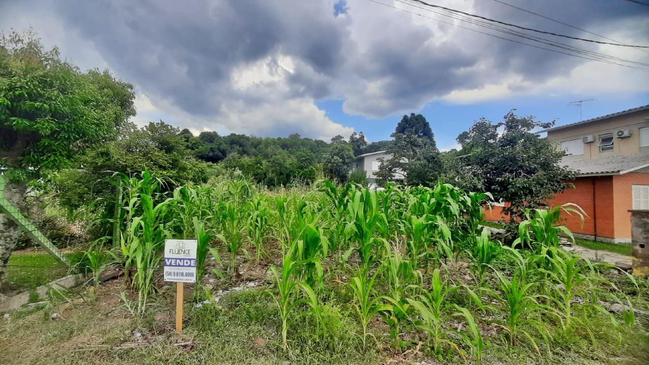 Terreno à venda no Guarani: 