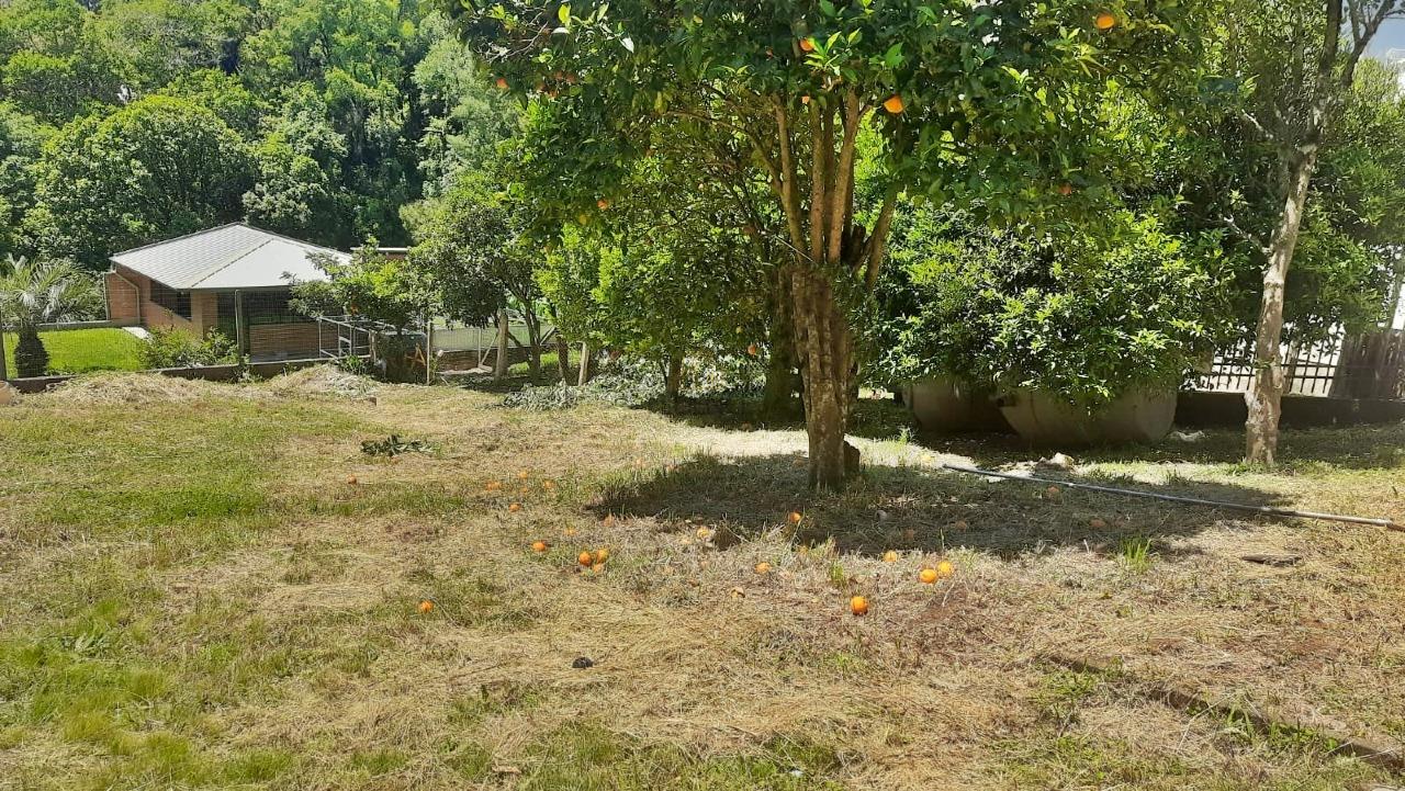 Terreno à venda no Navegantes: 