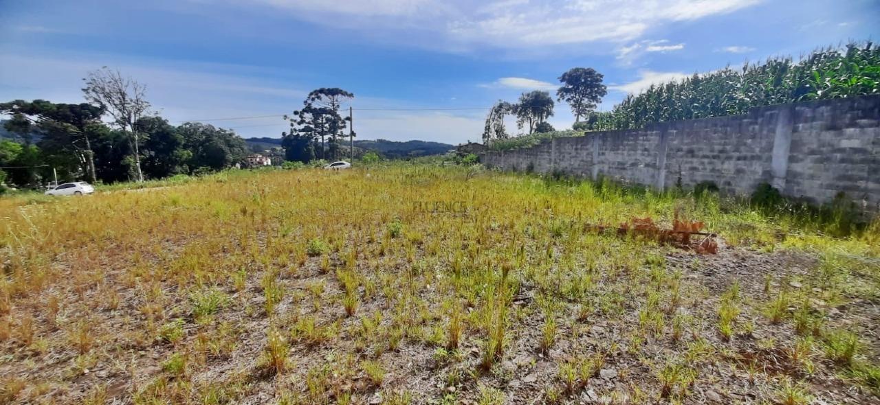 Terreno à venda no Vitória: 