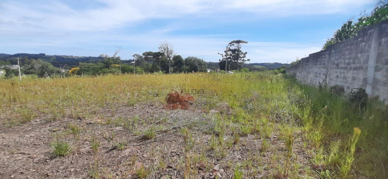 Terreno à venda no Vitória: 