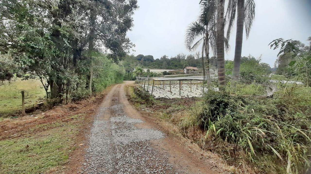 Áreas de Terra à venda no São Miguel: 