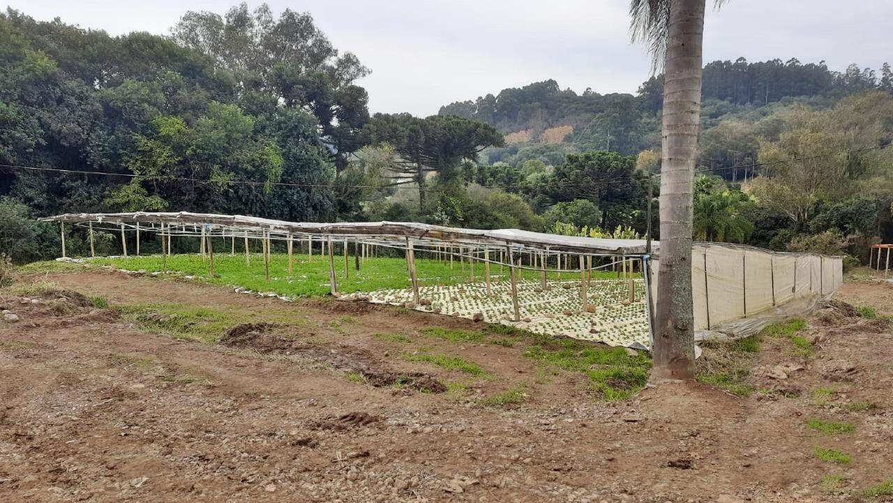 Áreas de Terra à venda no São Miguel: 