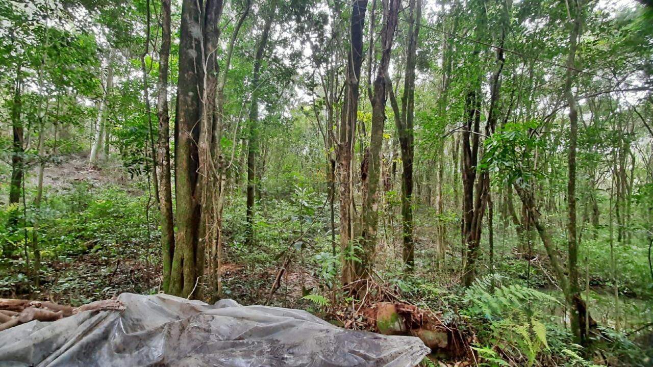 Áreas de Terra à venda no São Miguel: 