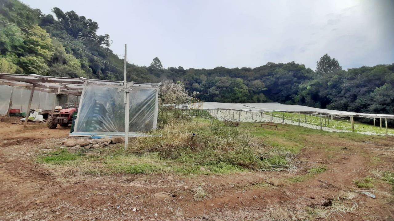 Áreas de Terra à venda no São Miguel: 