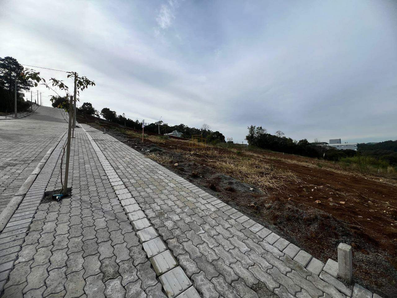 Terreno à venda no Aurora: 
