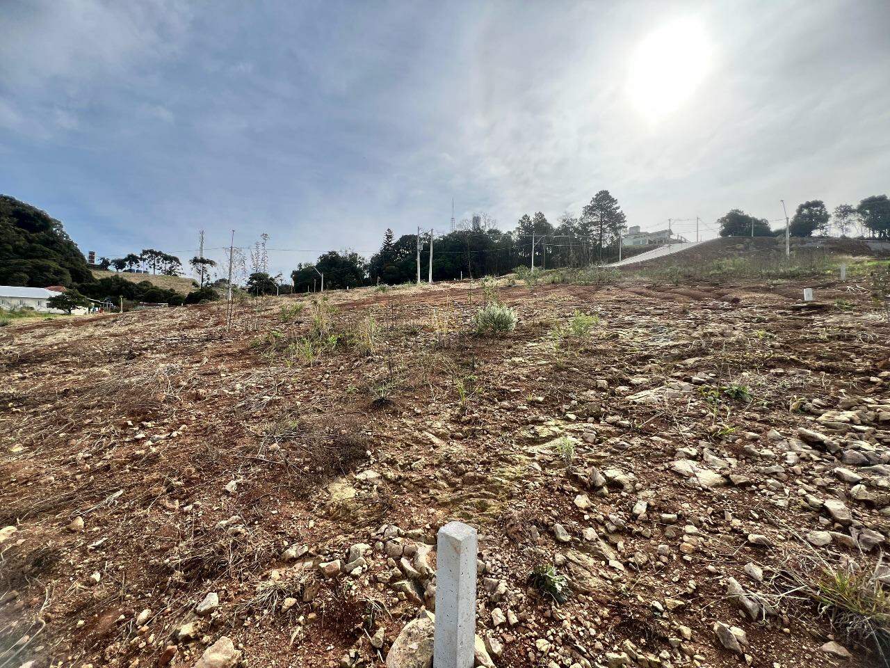 Terreno à venda no Aurora: 