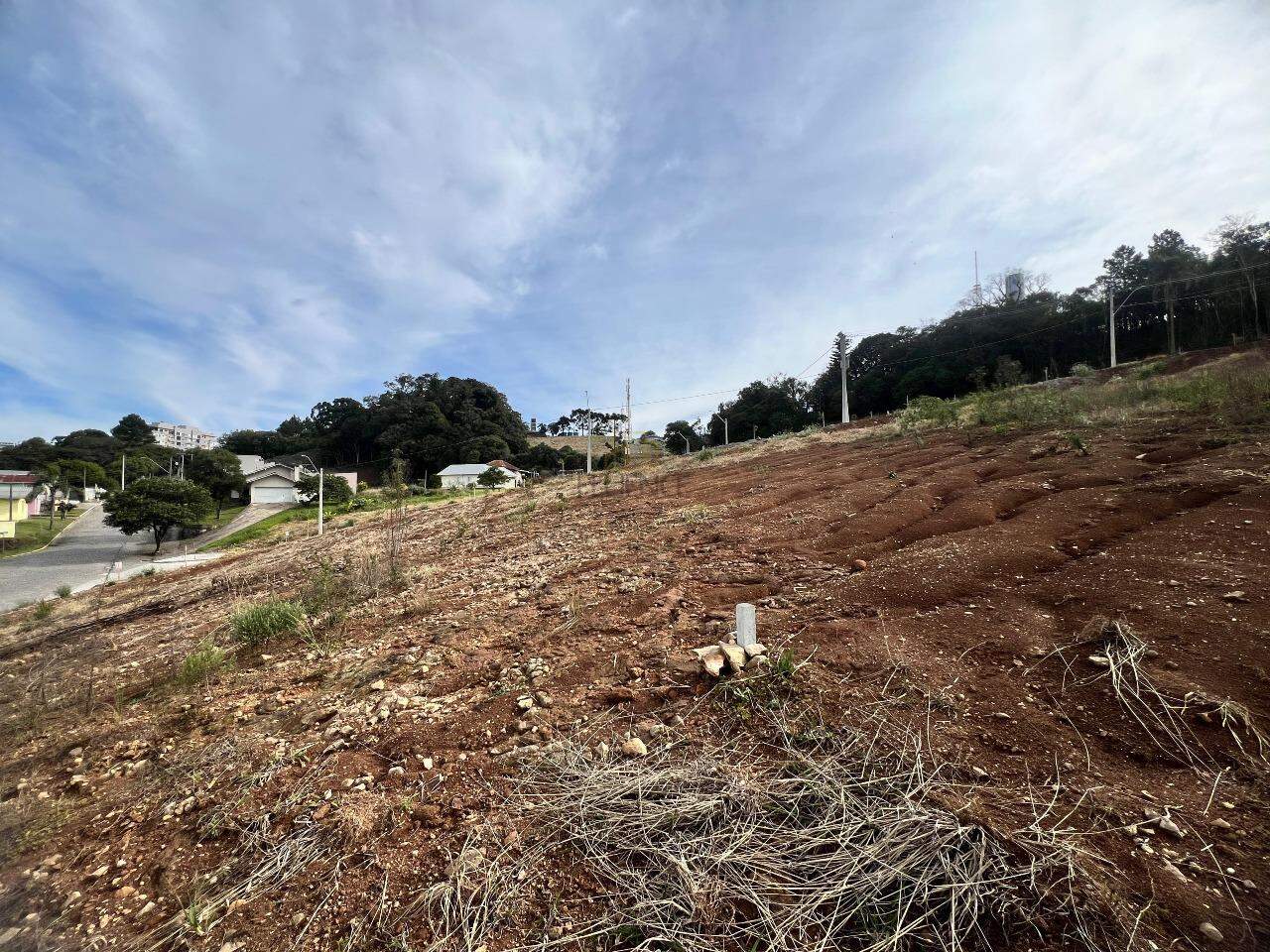 Terreno à venda no Aurora: 