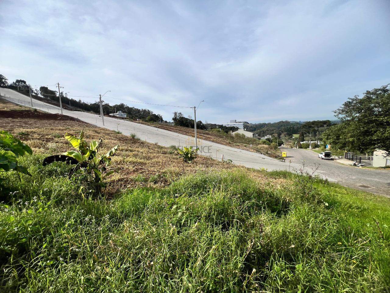 Terreno à venda no Aurora: 