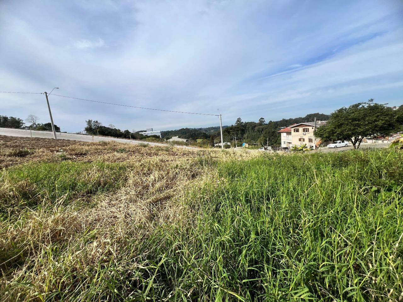 Terreno à venda no Aurora: 