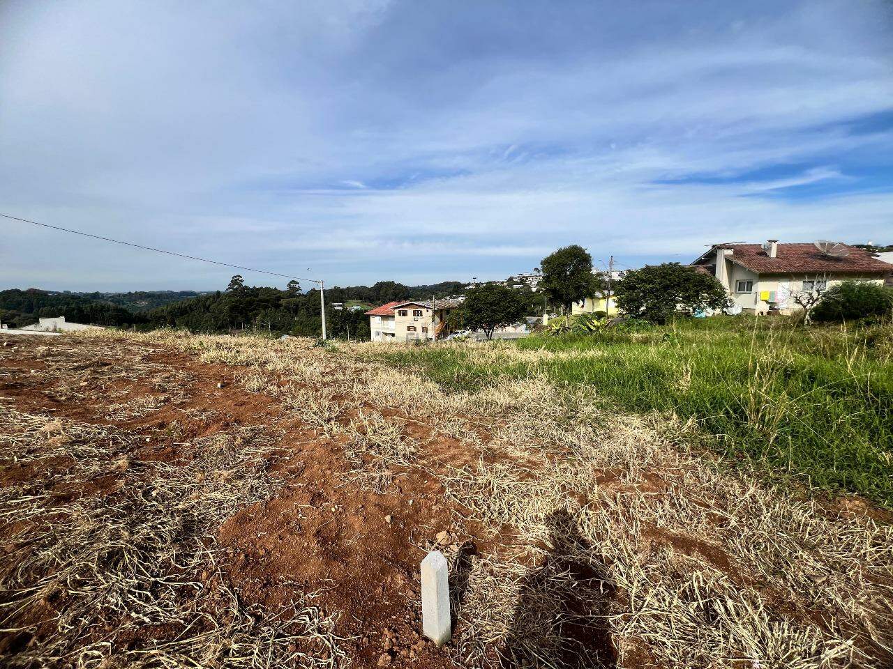 Terreno à venda no Aurora: 