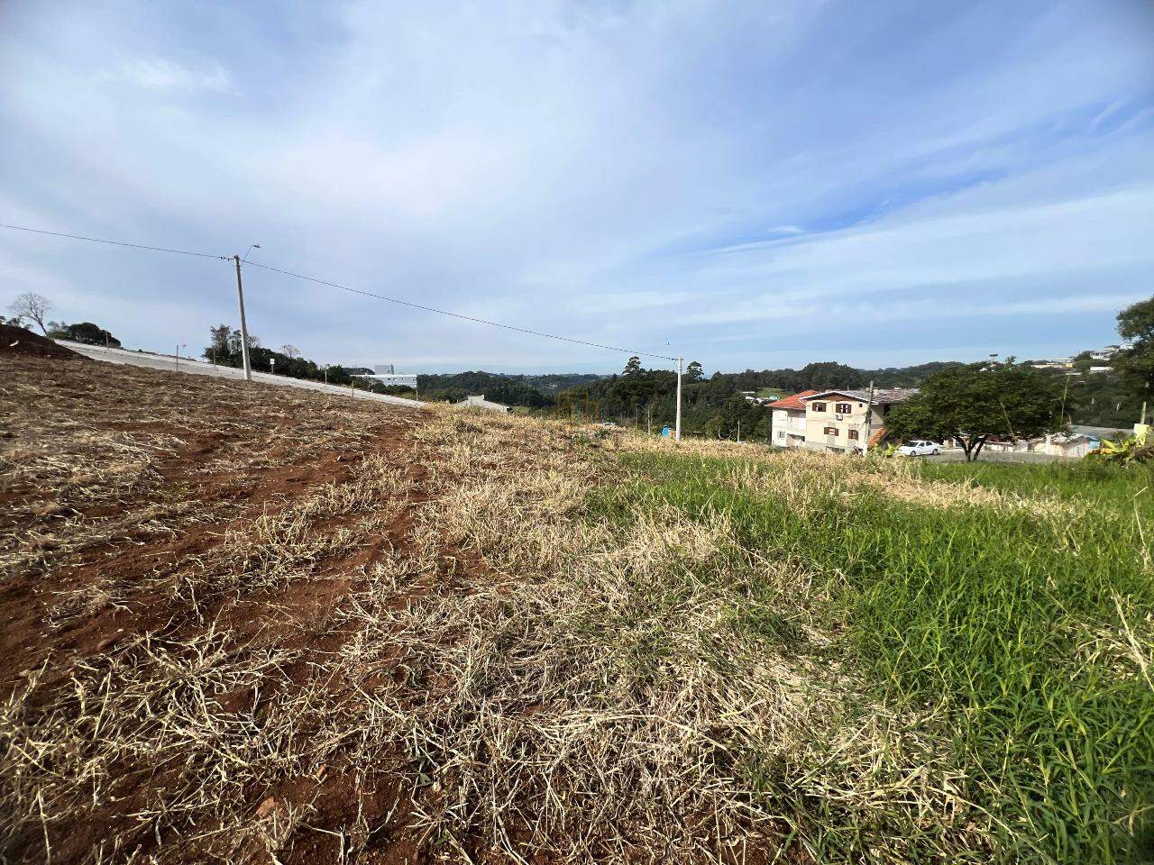 Terreno à venda no Aurora: 
