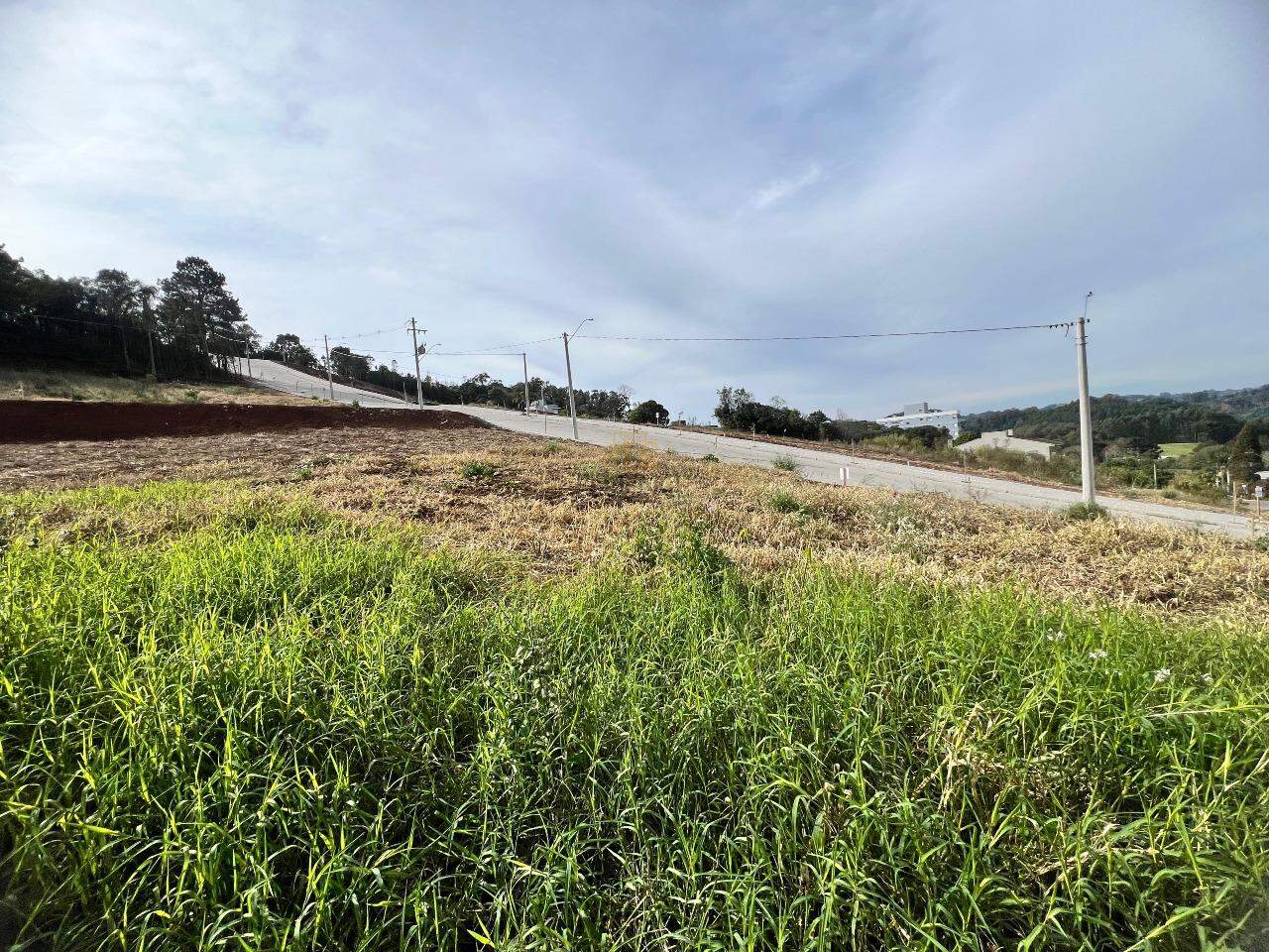 Terreno à venda no Aurora: 