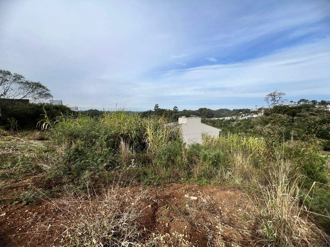 Terreno à venda no Aurora: 