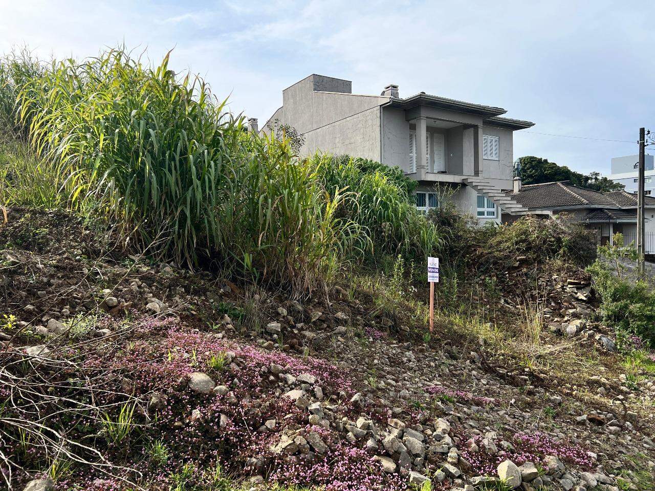 Terreno à venda no Aurora: 