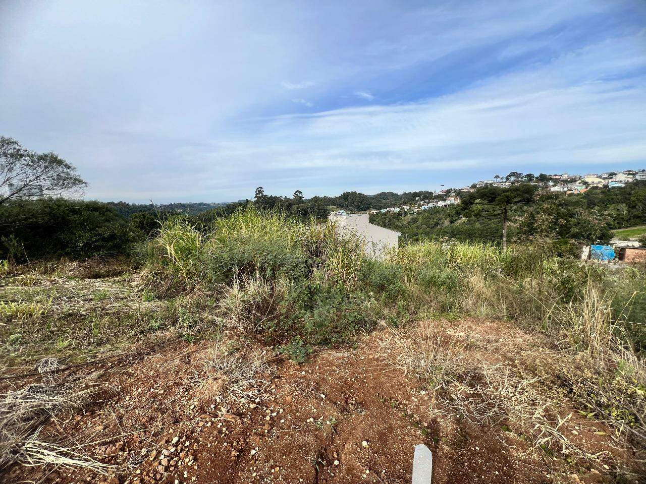 Terreno à venda no Aurora: 