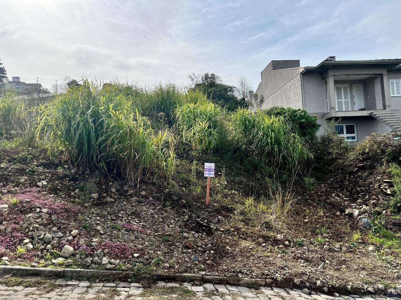 Terreno à venda no Aurora: 