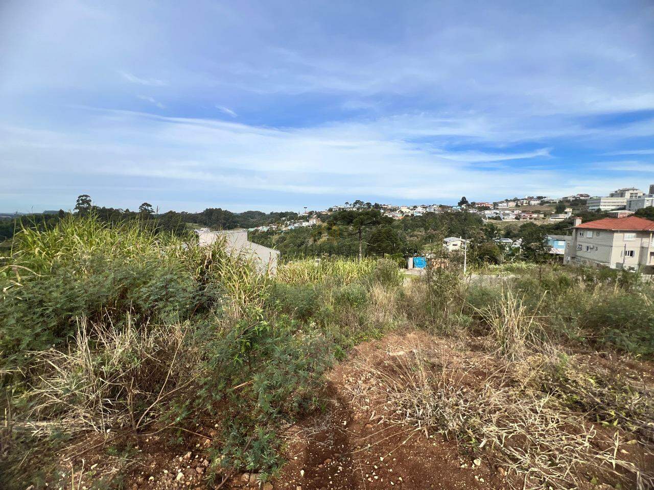 Terreno à venda no Aurora: 