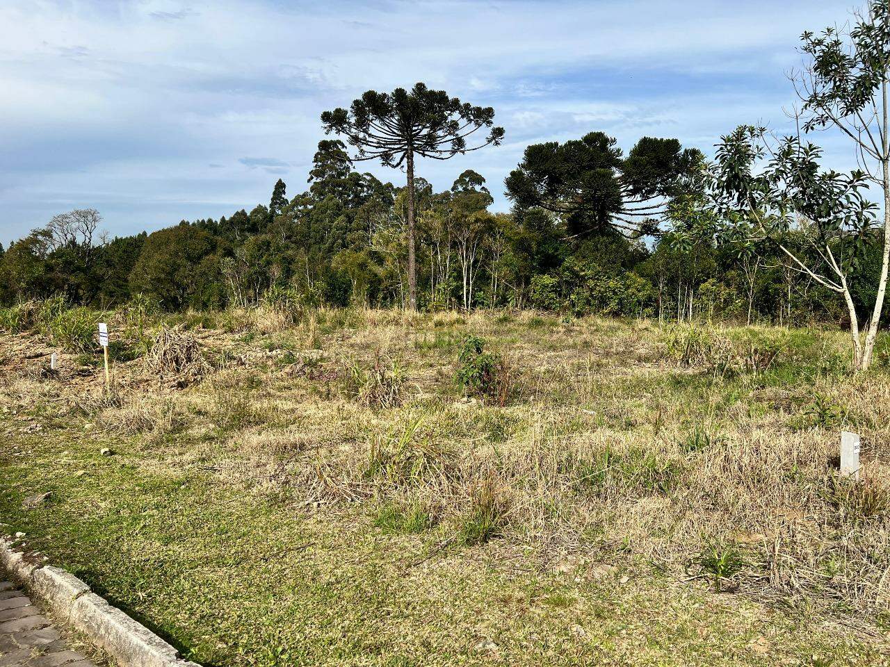 Terreno à venda no Aurora: 