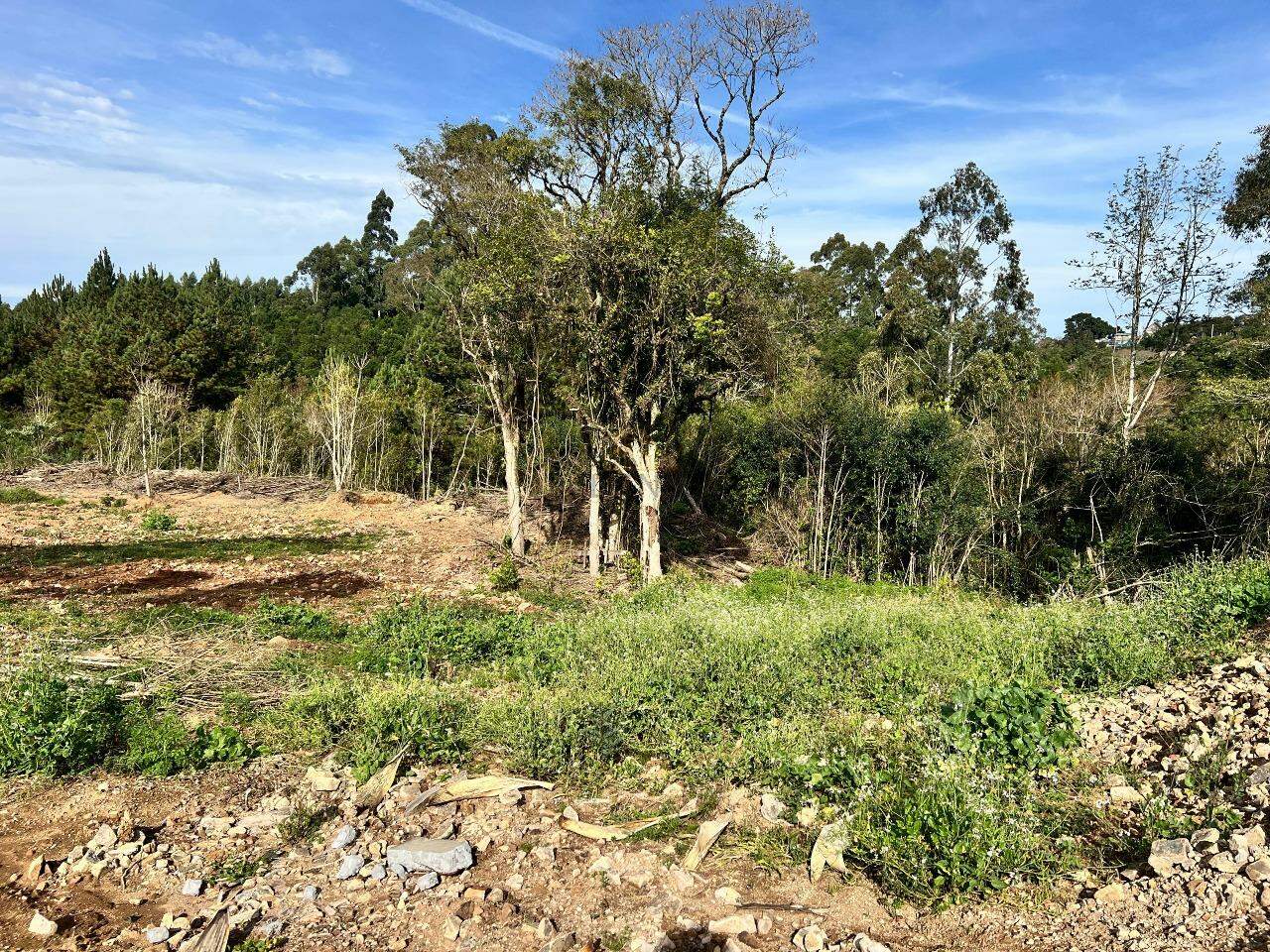 Terreno à venda no Aurora: 