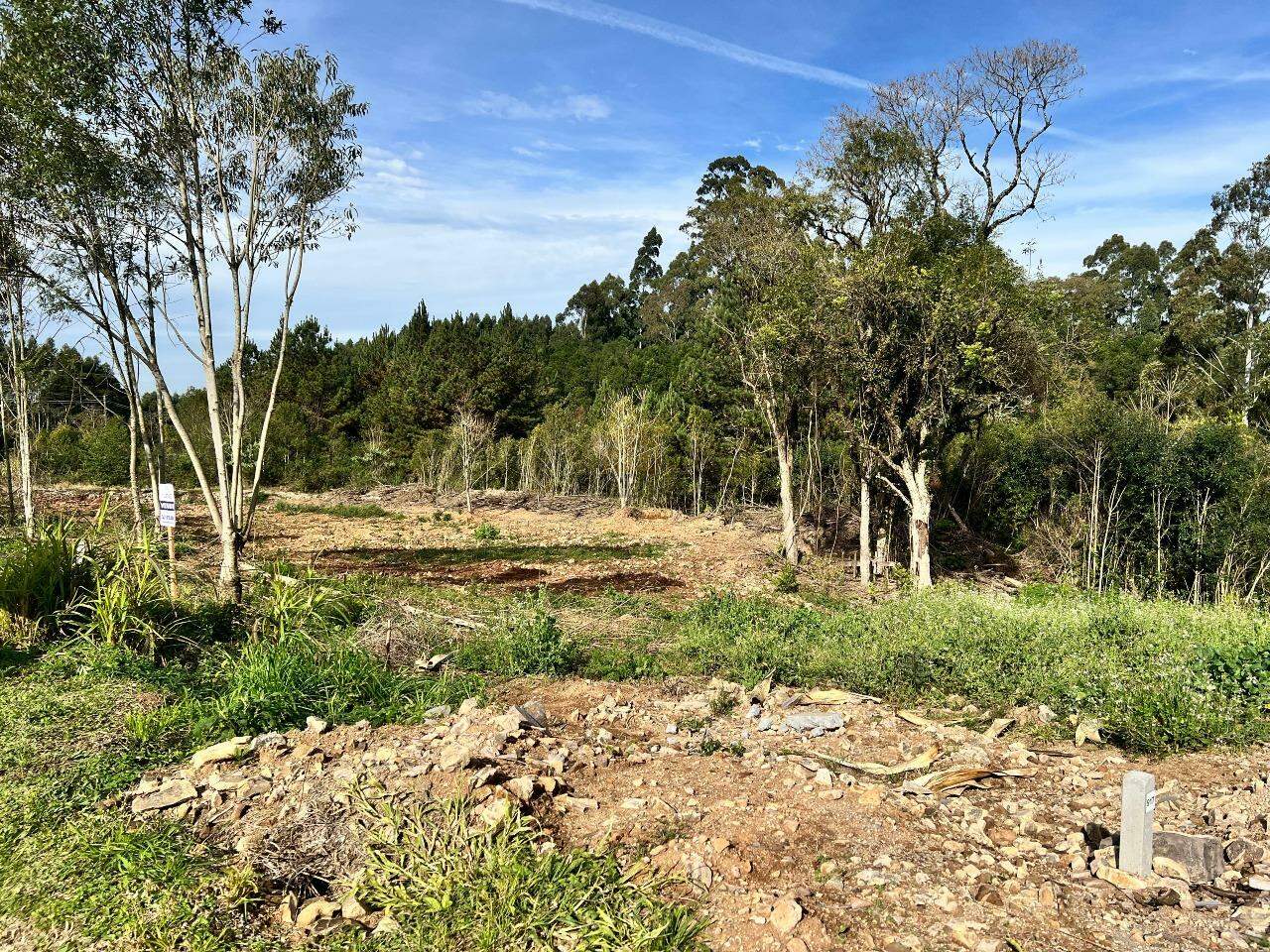 Terreno à venda no Aurora: 