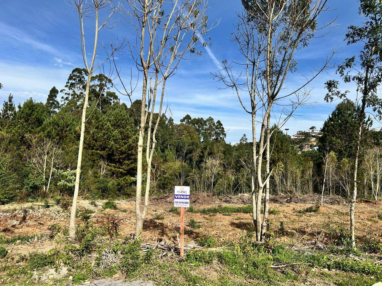 Terreno à venda no Aurora: 