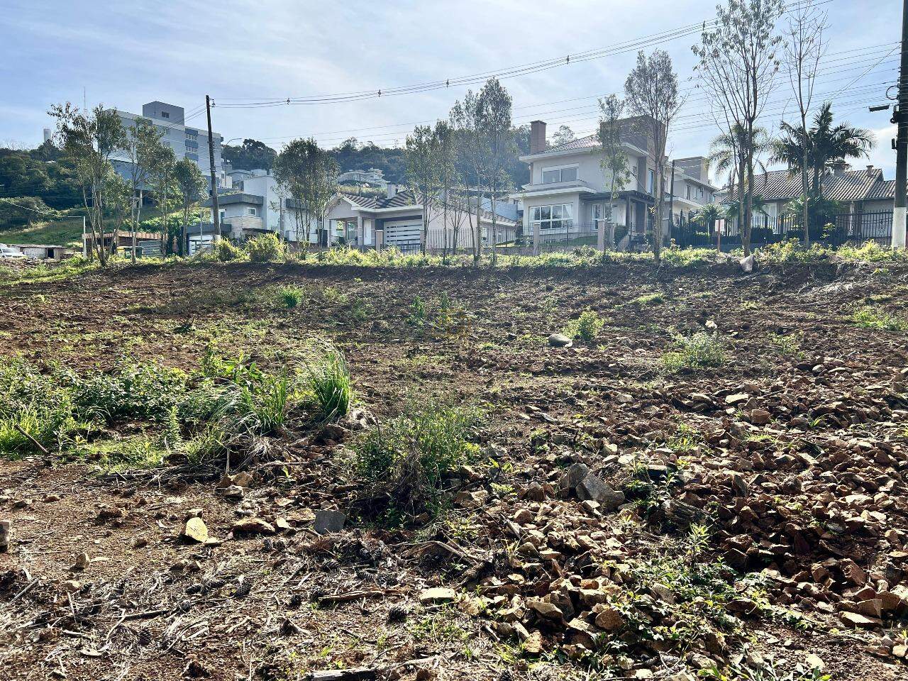 Terreno à venda no Aurora: 