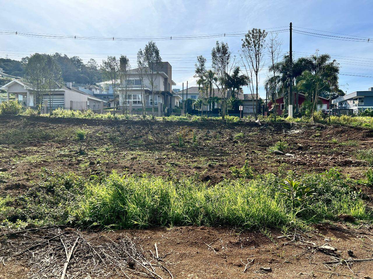 Terreno à venda no Aurora: 