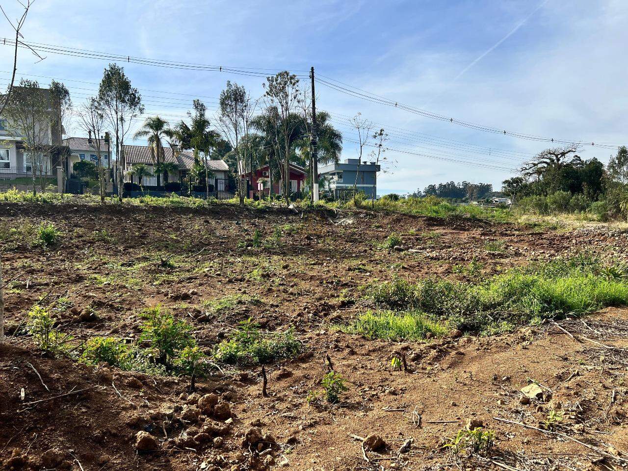 Terreno à venda no Aurora: 