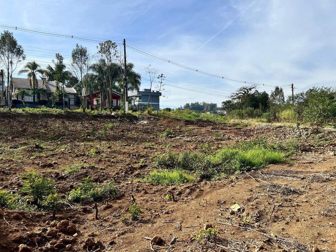 Terreno à venda no Aurora: 