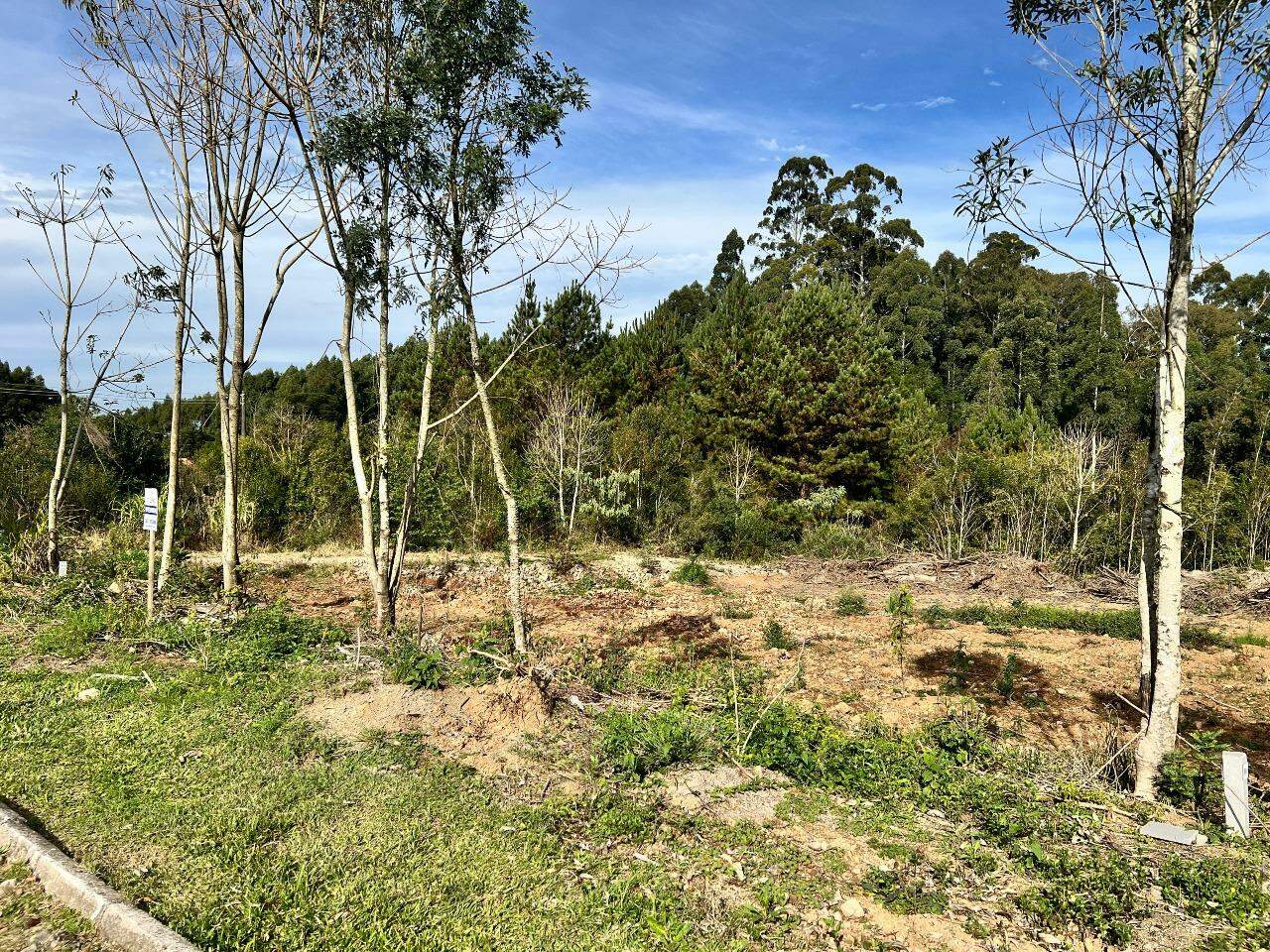 Terreno à venda no Aurora: 