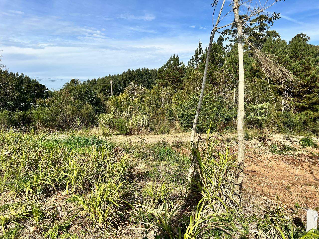 Terreno à venda no Aurora: 