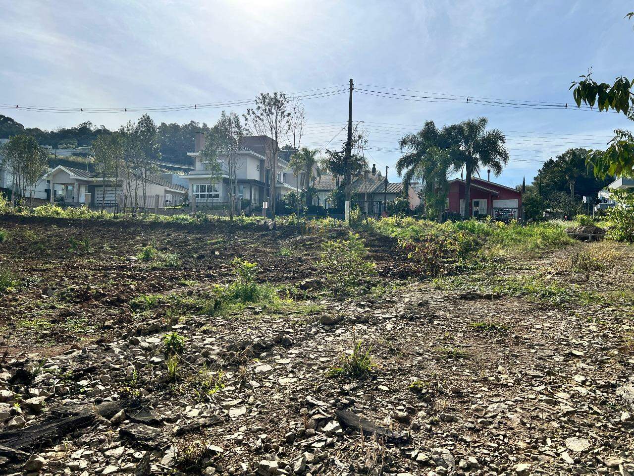 Terreno à venda no Aurora: 