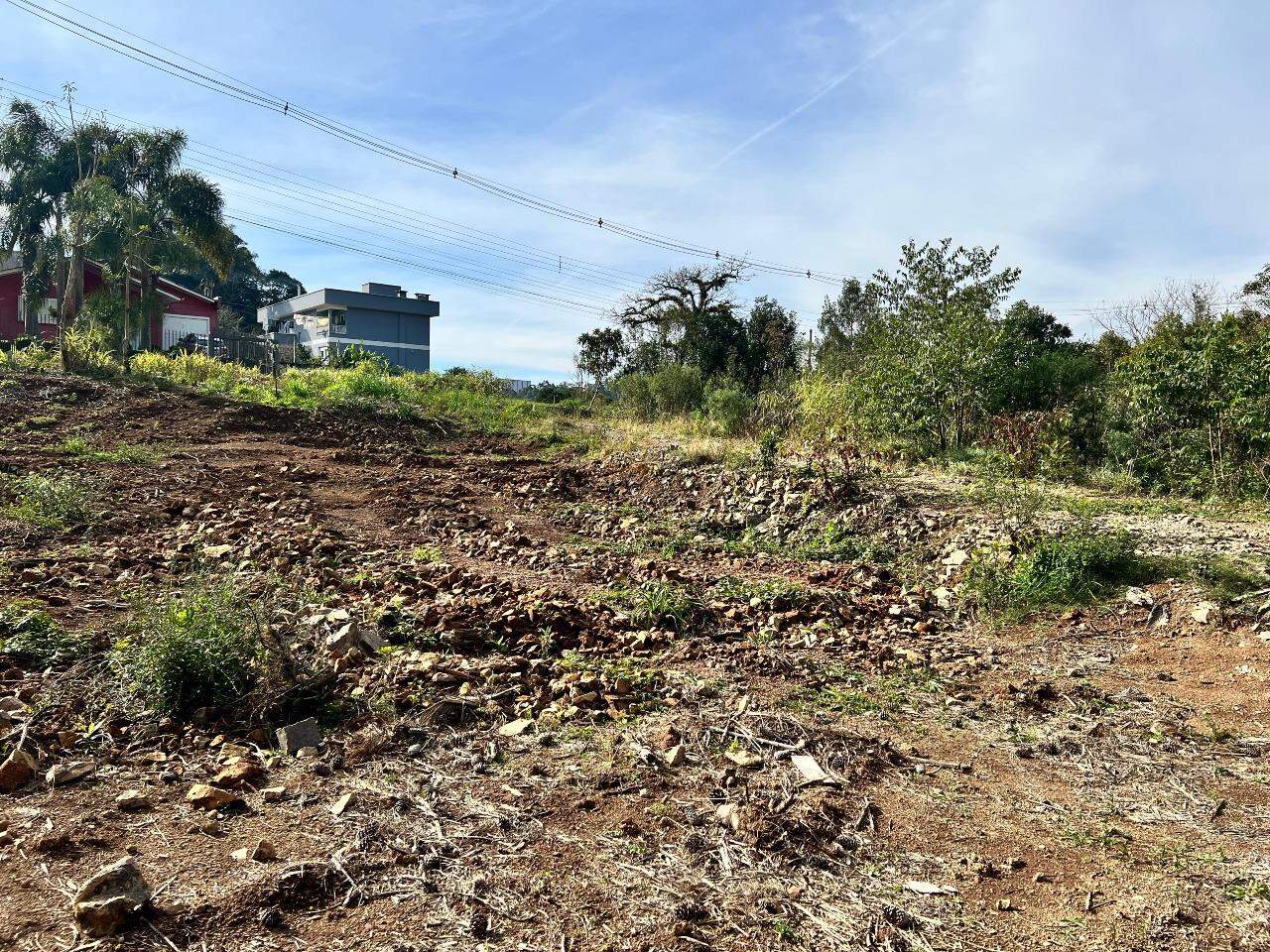 Terreno à venda no Aurora: 