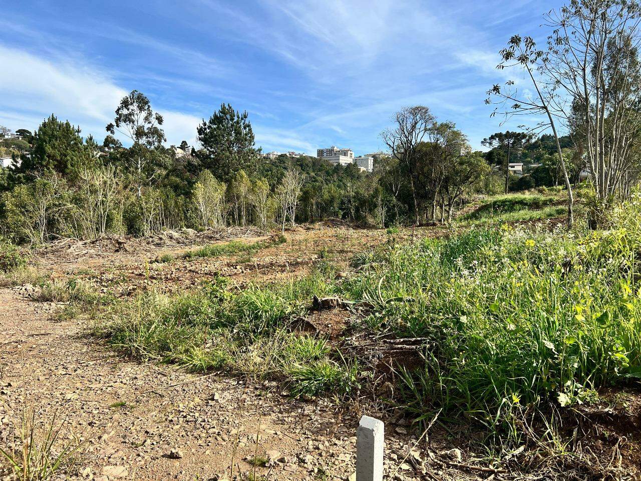 Terreno à venda no Aurora: 