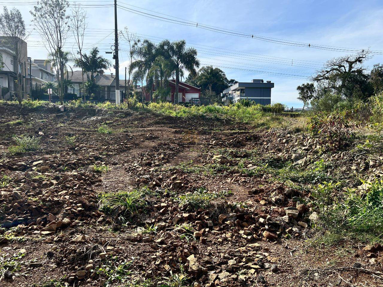 Terreno à venda no Aurora: 