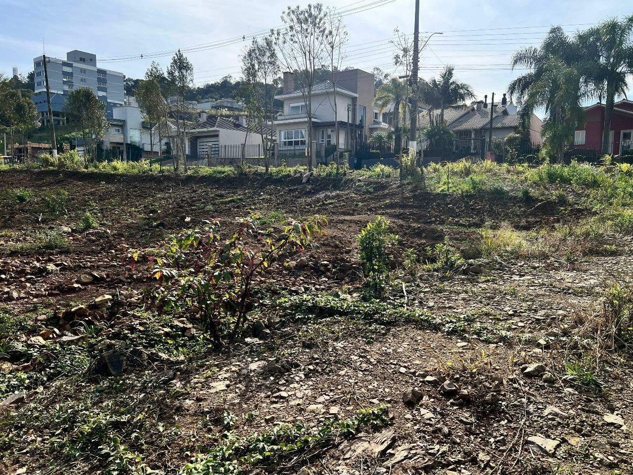 Terreno à venda no Aurora: 