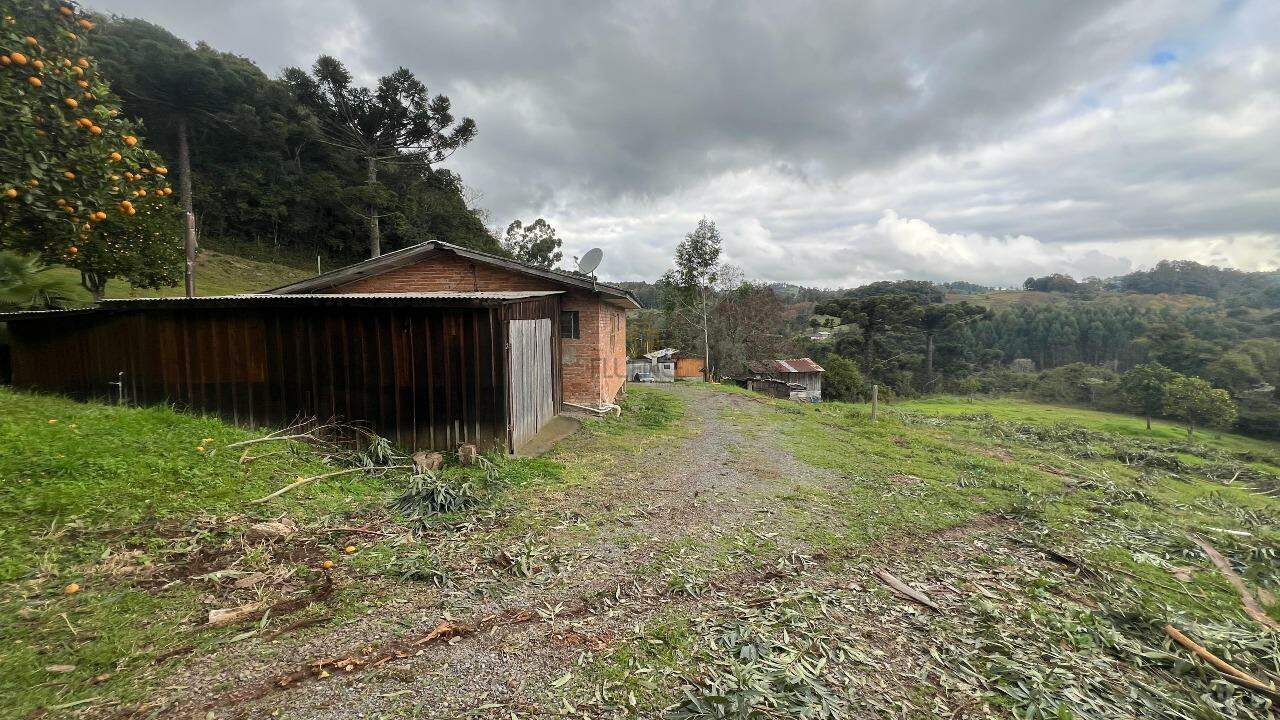 Sítio à venda no 1º Seção de Castro: 