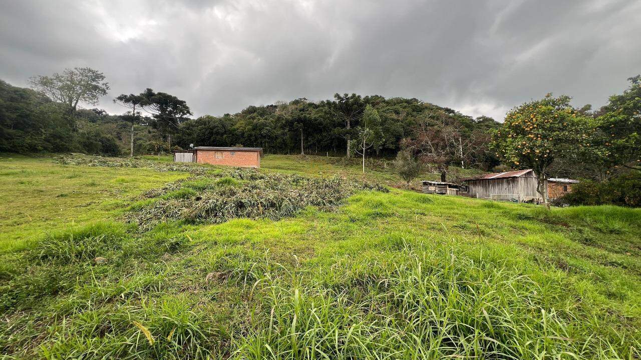 Sítio à venda no 1º Seção de Castro: 