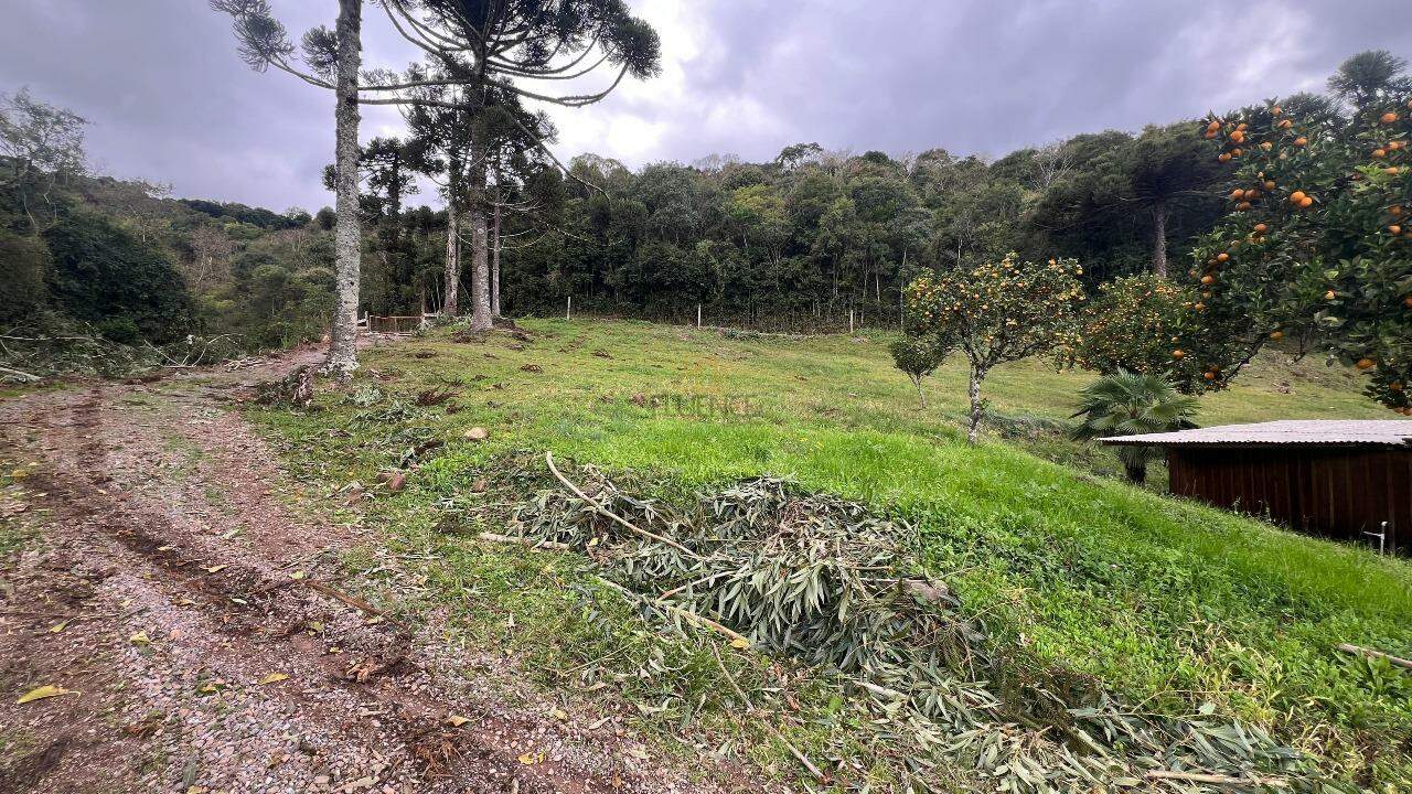 Sítio à venda no 1º Seção de Castro: 